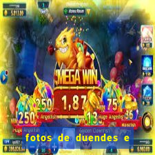 fotos de duendes e gnomos reais
